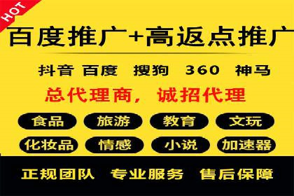 探索专业SEM托管的奥秘：从案例看效果